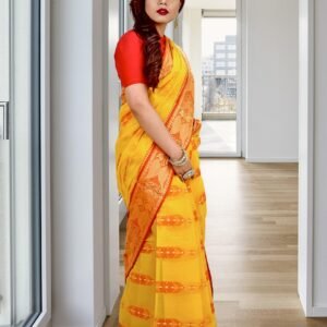 woman, indian saree, model, indian model, model in saree, girl, female, indian, traditional clothing, traditional wear, culture, tradition, beautiful, pretty, pose, portrait, indian saree, indian saree, indian saree, indian model, indian model, indian model, indian model, indian model